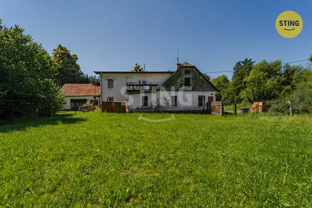 Fotka 7 z 16
